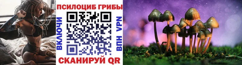 Галлюциногенные грибы Cubensis Бронницы